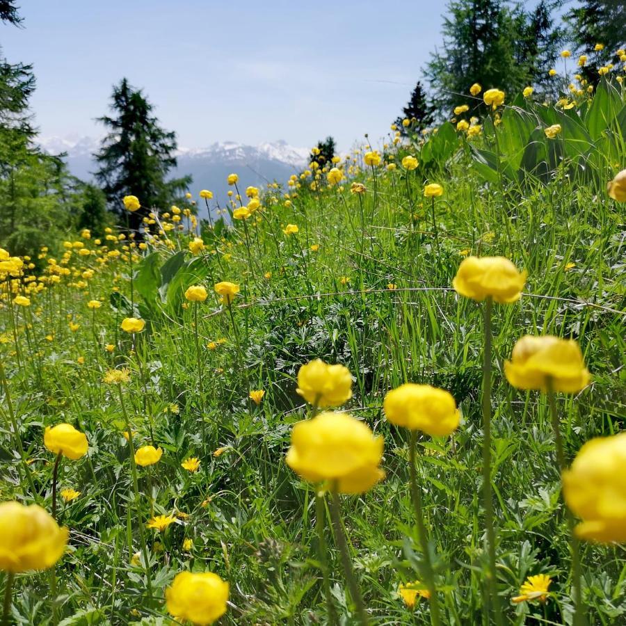 Apartment 32 Crans-Montana Dış mekan fotoğraf