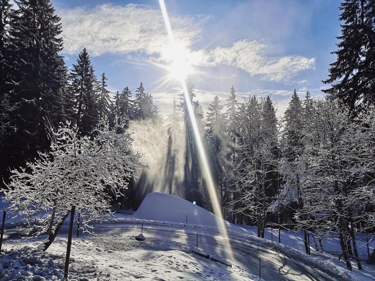 Apartment 32 Crans-Montana Dış mekan fotoğraf