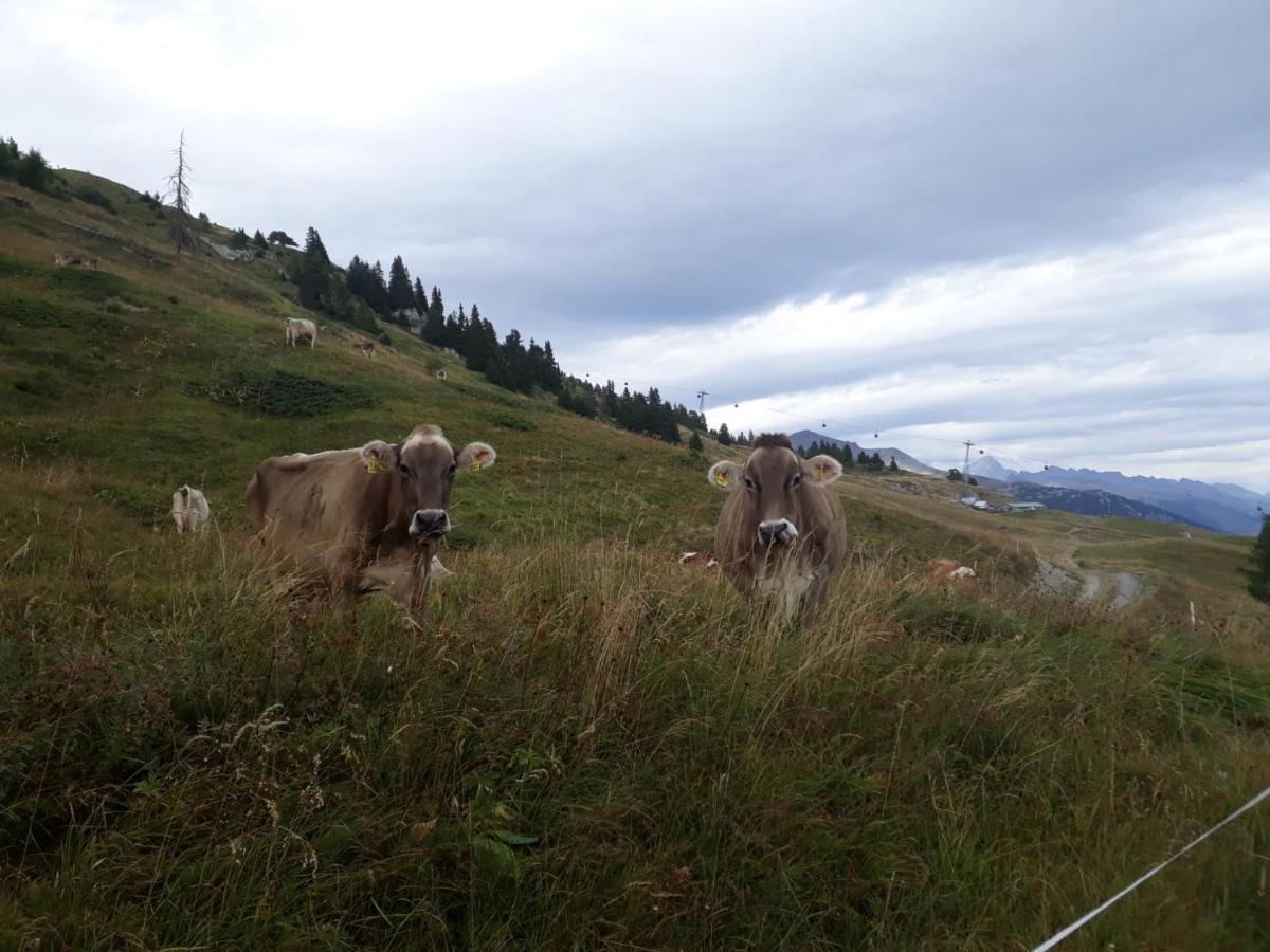 Apartment 32 Crans-Montana Dış mekan fotoğraf
